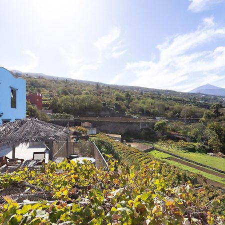 Ek Drago Finca El Milagro La Orotava Luaran gambar