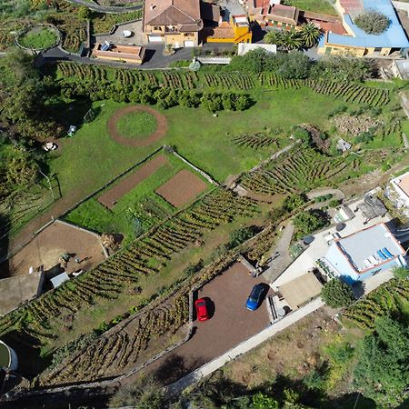 Ek Drago Finca El Milagro La Orotava Luaran gambar