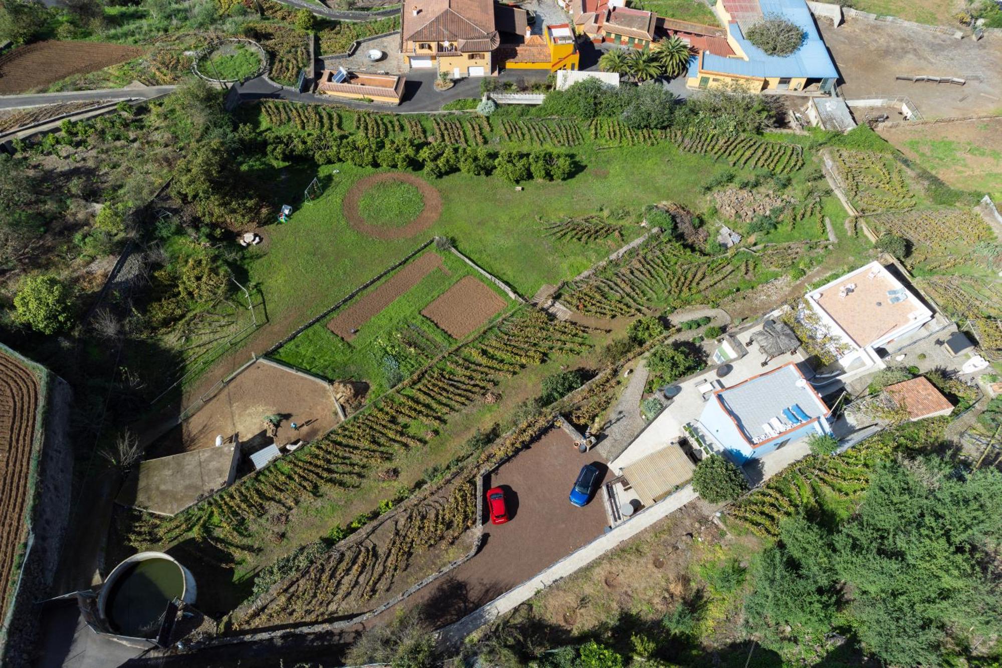 Ek Drago Finca El Milagro La Orotava Luaran gambar