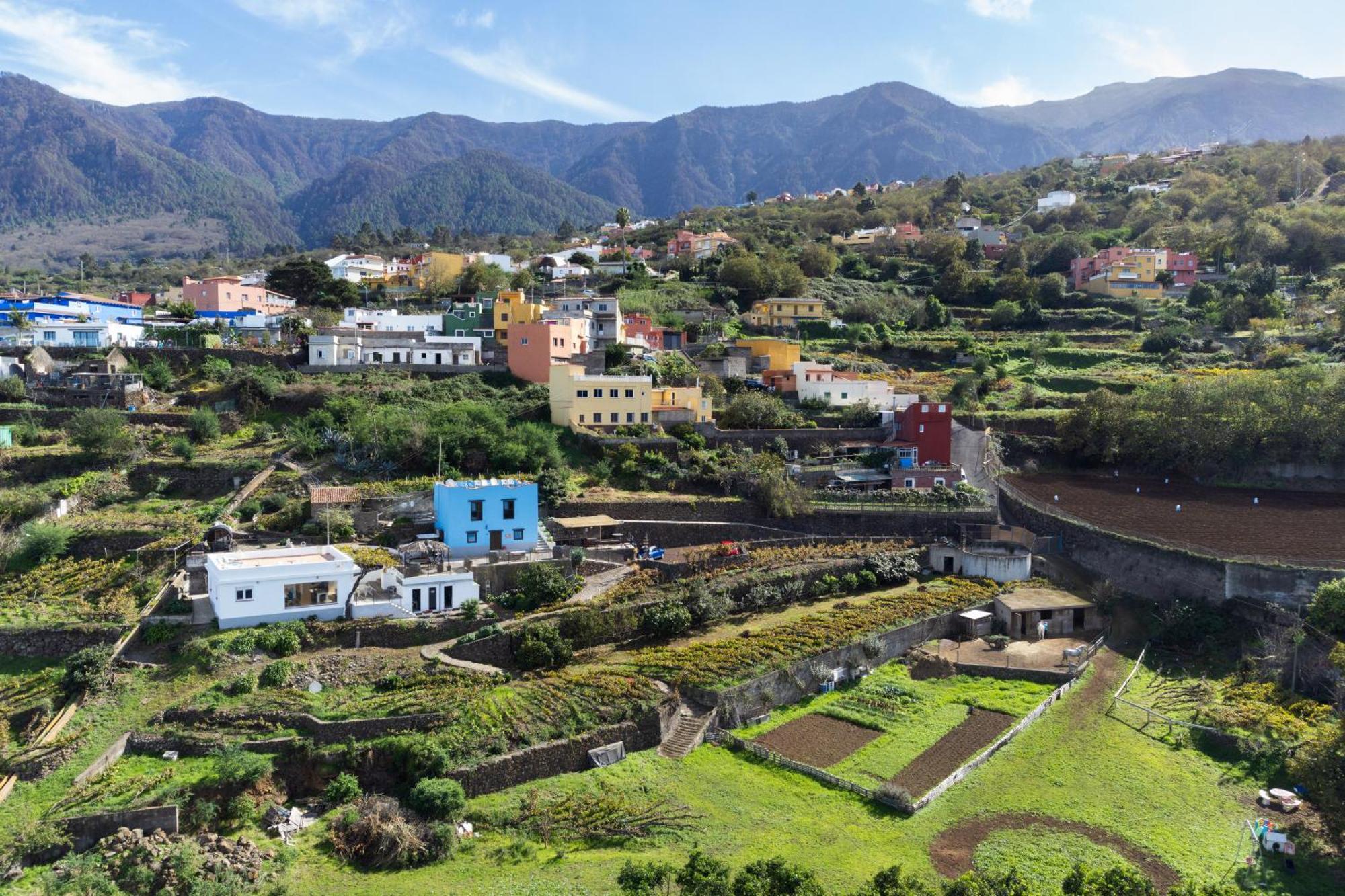 Ek Drago Finca El Milagro La Orotava Luaran gambar