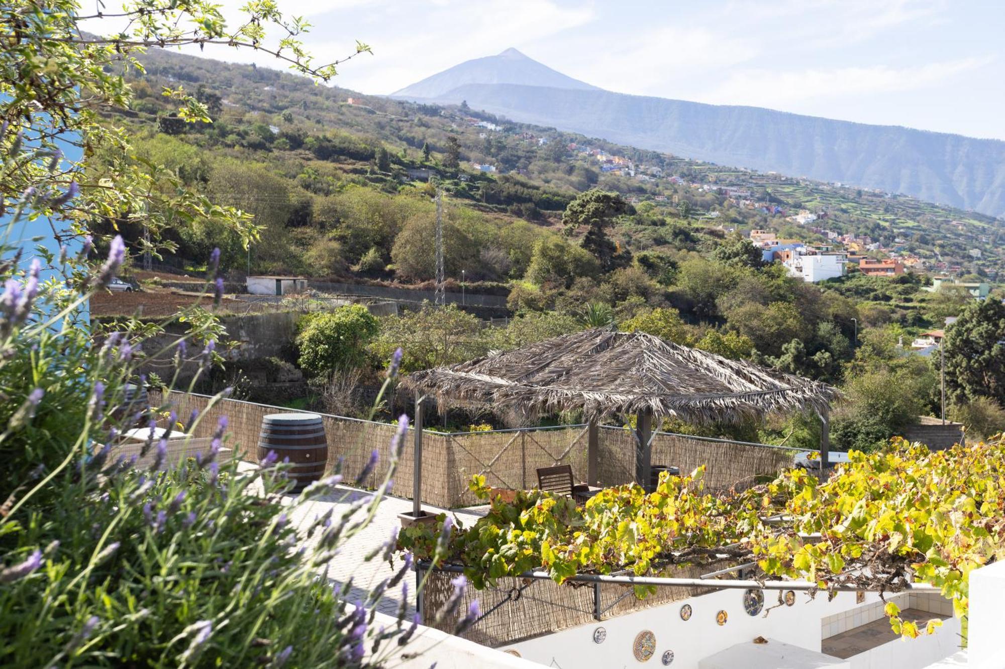 Ek Drago Finca El Milagro La Orotava Luaran gambar