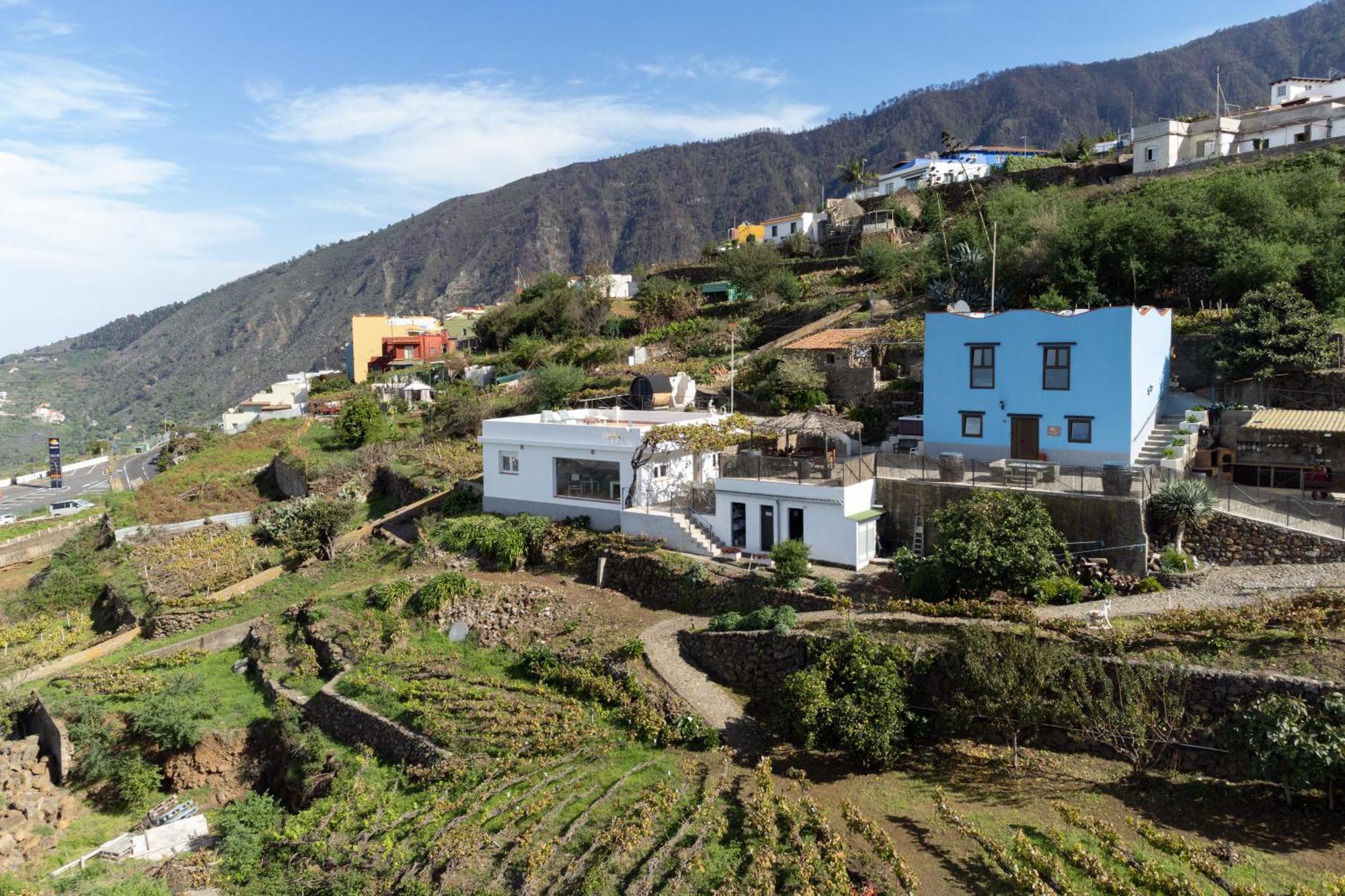 Ek Drago Finca El Milagro La Orotava Luaran gambar