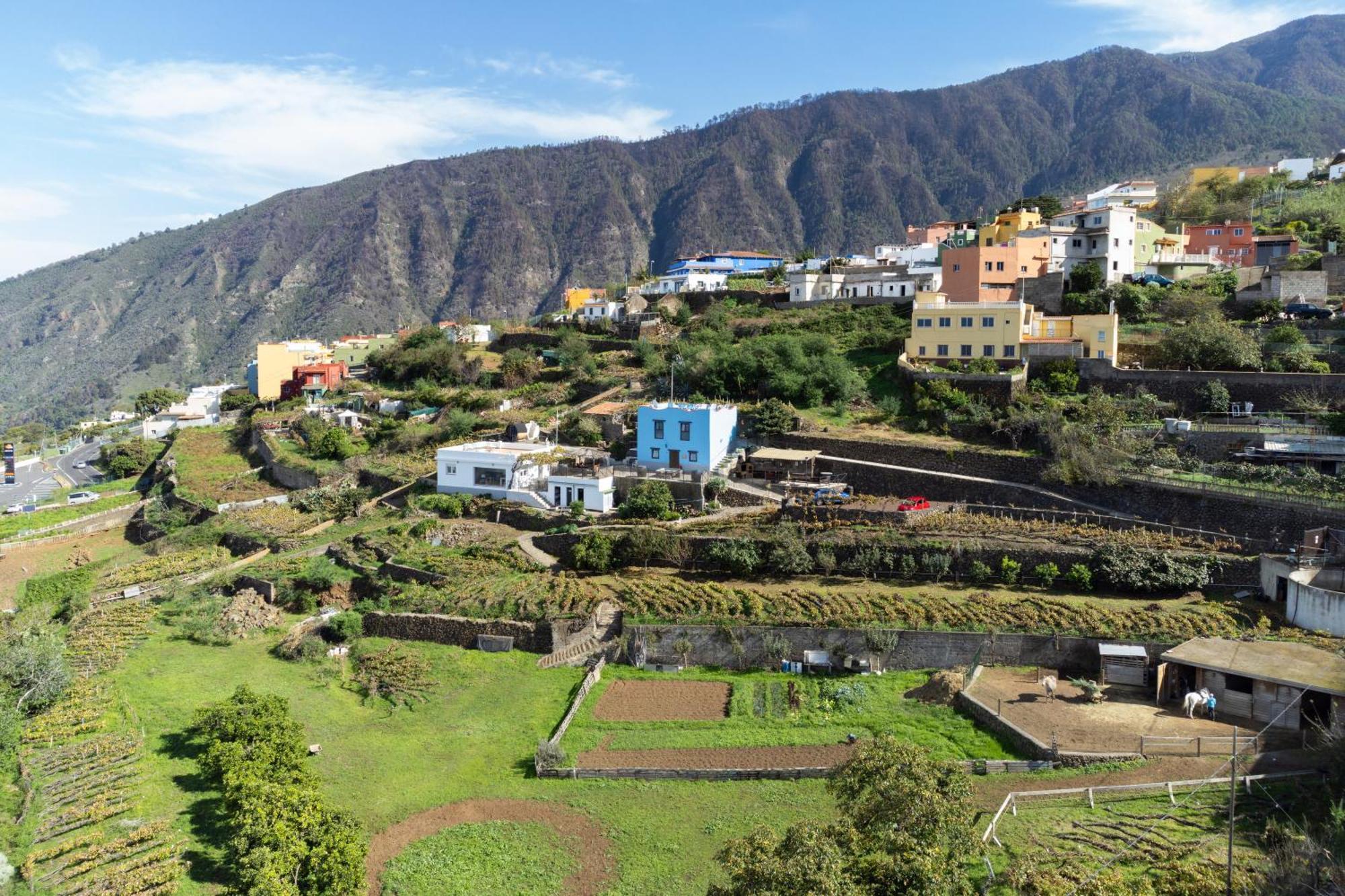 Ek Drago Finca El Milagro La Orotava Luaran gambar